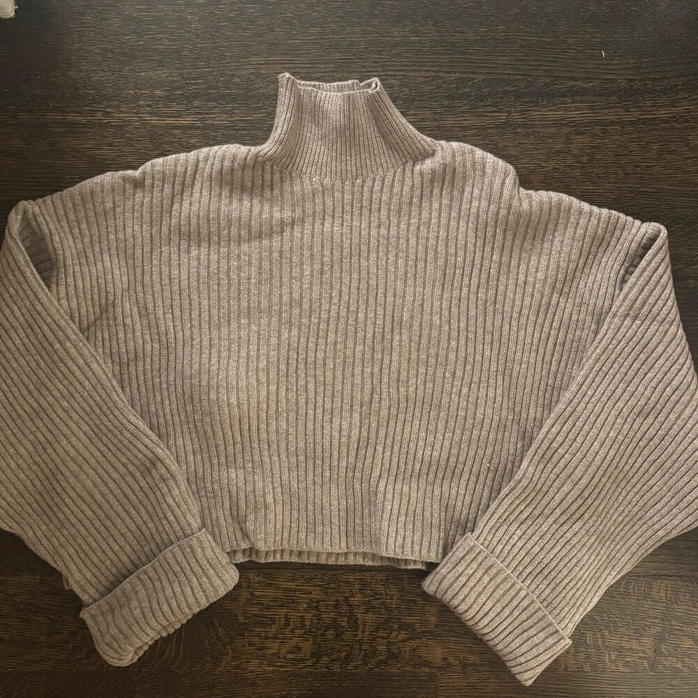 Zara Cropped Turtle Neck